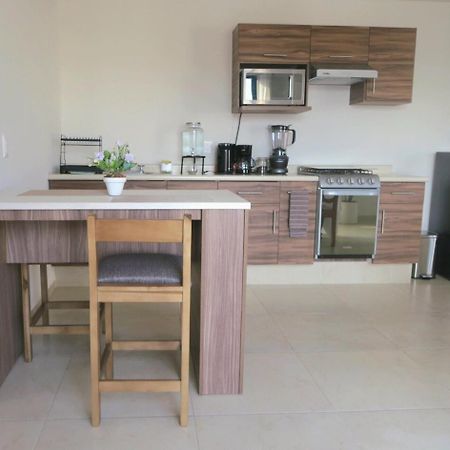 Apartament Departamento Tequis, Totalmente Nuevo En El Corazon De Slp San Luis Potosí Zewnętrze zdjęcie