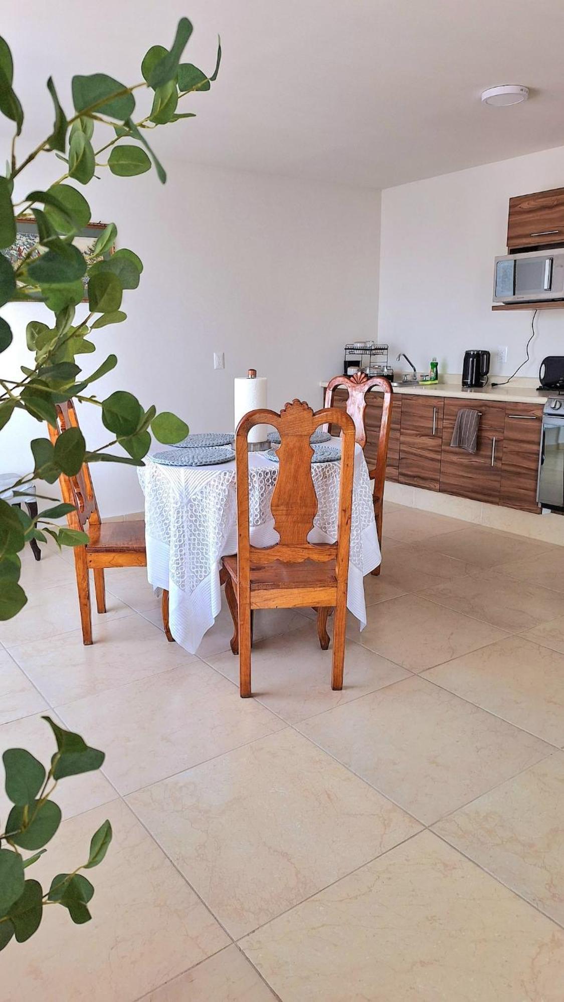 Apartament Departamento Tequis, Totalmente Nuevo En El Corazon De Slp San Luis Potosí Zewnętrze zdjęcie