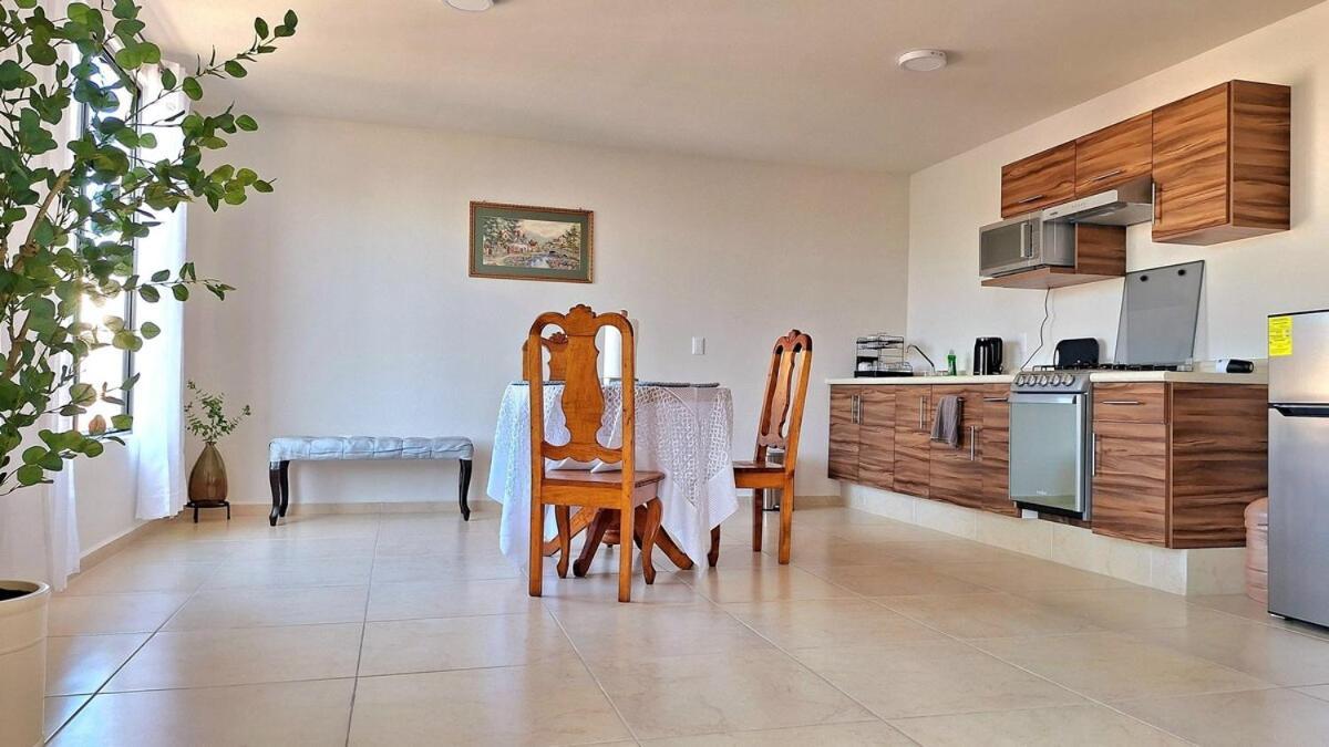 Apartament Departamento Tequis, Totalmente Nuevo En El Corazon De Slp San Luis Potosí Zewnętrze zdjęcie