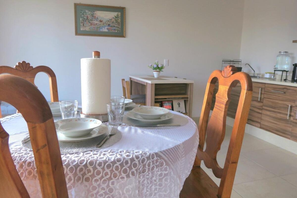 Apartament Departamento Tequis, Totalmente Nuevo En El Corazon De Slp San Luis Potosí Zewnętrze zdjęcie