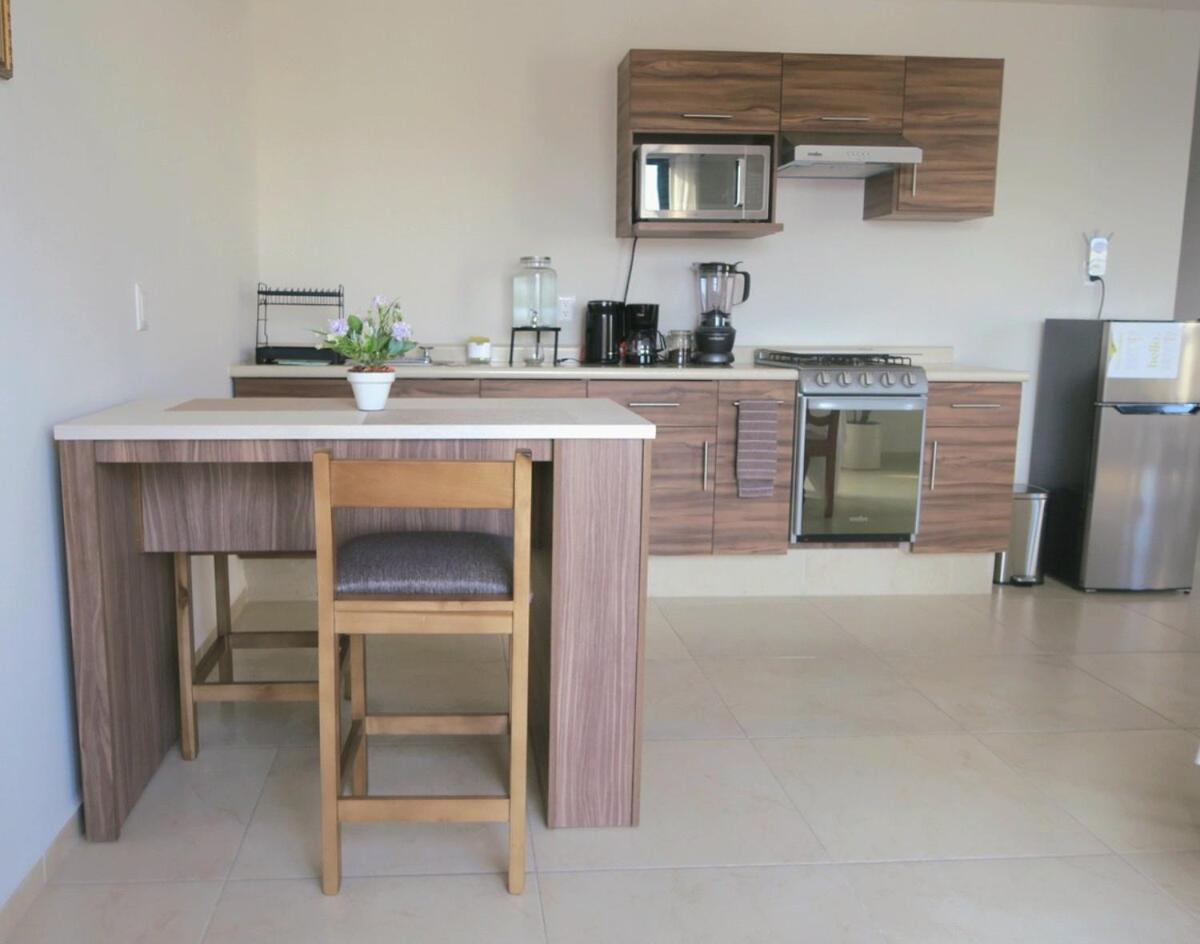 Apartament Departamento Tequis, Totalmente Nuevo En El Corazon De Slp San Luis Potosí Zewnętrze zdjęcie