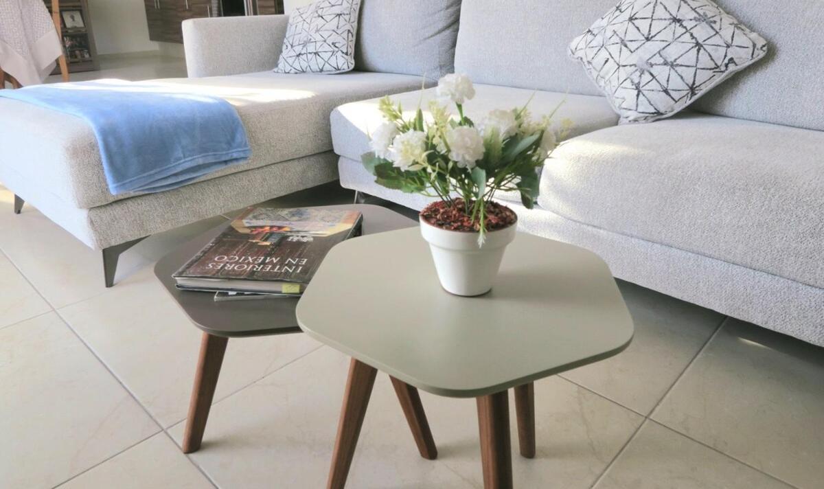 Apartament Departamento Tequis, Totalmente Nuevo En El Corazon De Slp San Luis Potosí Zewnętrze zdjęcie
