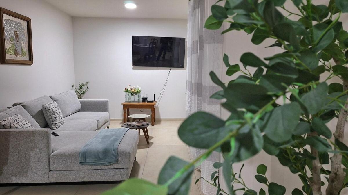 Apartament Departamento Tequis, Totalmente Nuevo En El Corazon De Slp San Luis Potosí Zewnętrze zdjęcie